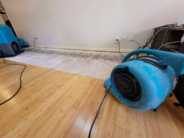 Professional Water Extraction technician working in Wareham, MA